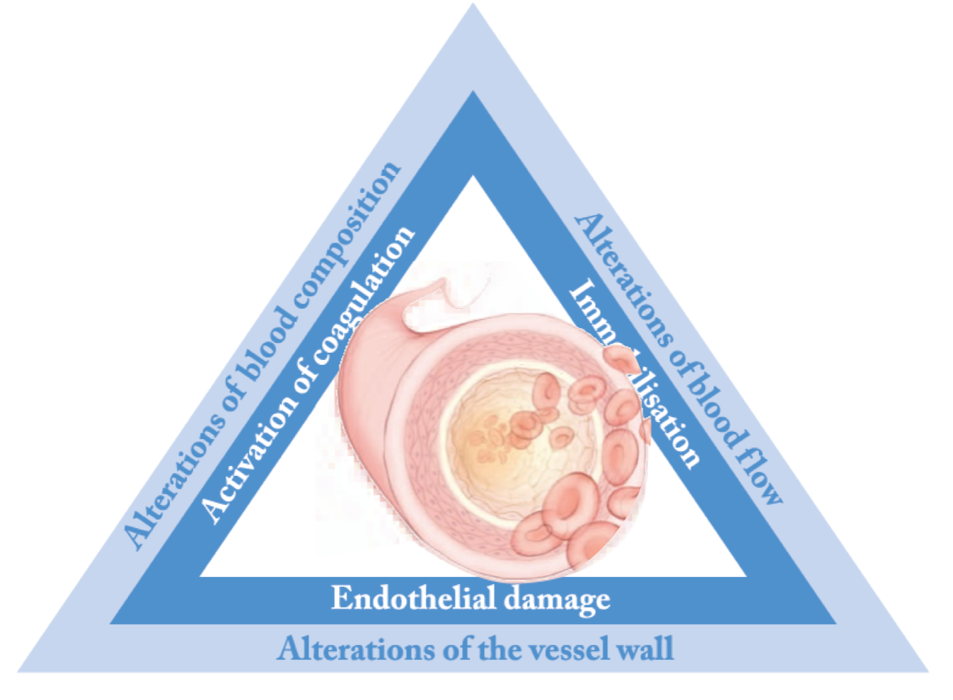 blood composition